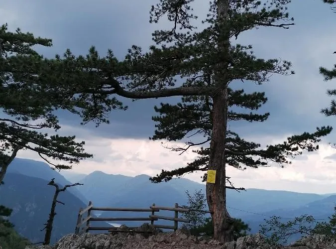 Vikendica Moonlight بيت للعطل *