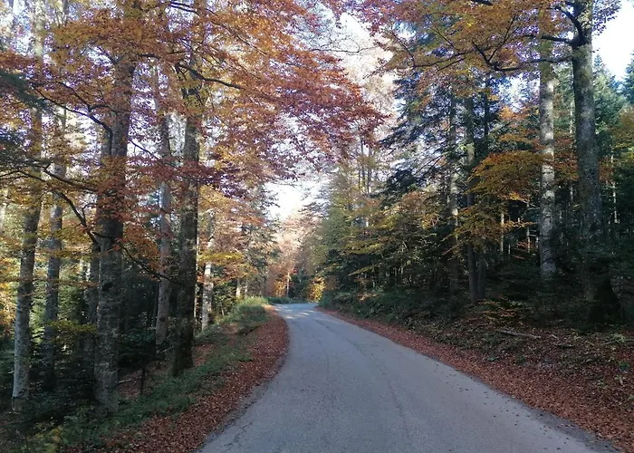 Vikendica Moonlight Zaovine