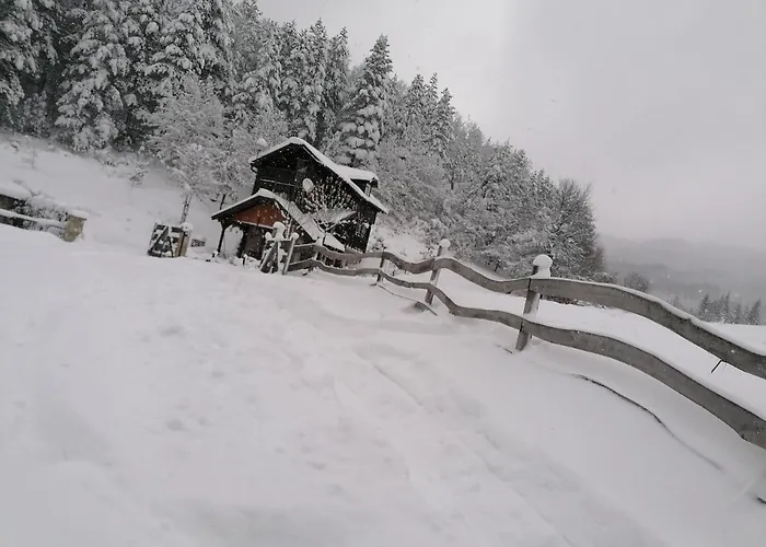 Vikendica Moonlight * Zaovine